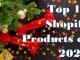Top 10 Shopify Products of 2022
