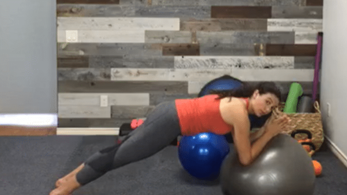 Plank_Stability Ball Exercises