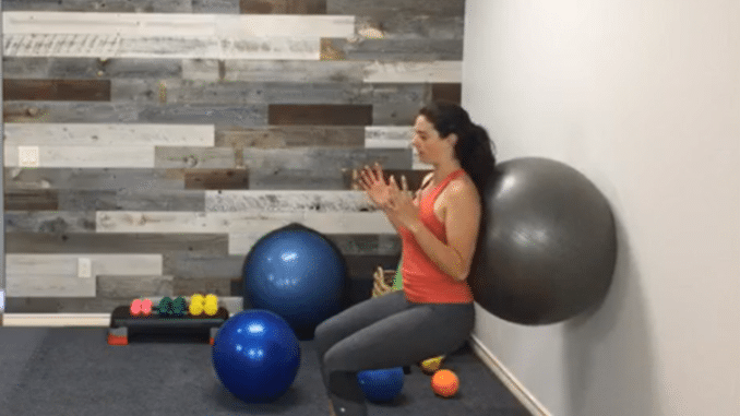 Variation 2 - Ball Wall Squats_Stability Ball Exercises
