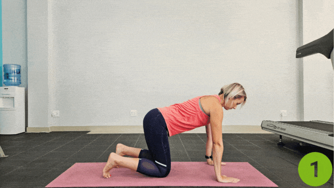 Modified Bird Dog- core strengthening after injury