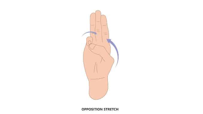 Opposition Stretch