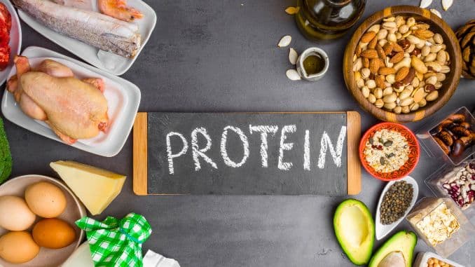 HIGH-PROTEIN FOODS- Weight Loss in Seniors