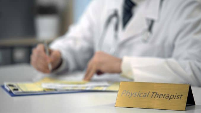 physical therapist
