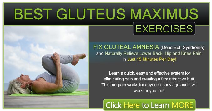 Best Gluteus Maximus Exercises - Digital Download