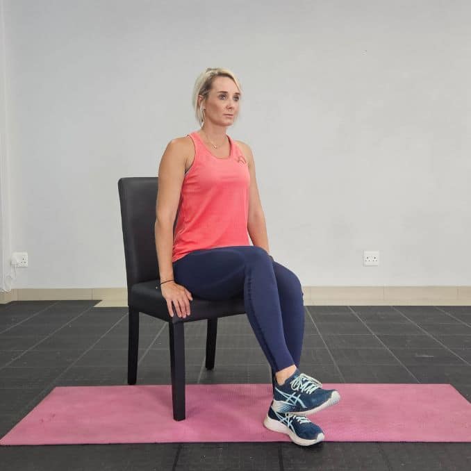 Seated Knee Lifts 2