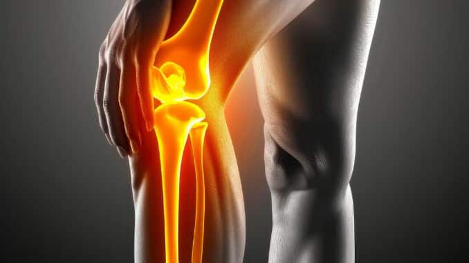 understanding-knee-joint-anatomy