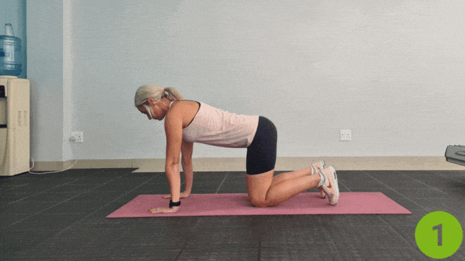 Bird Dog - Best stretches for scoliosis