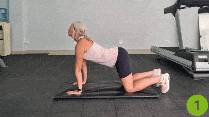 Cat-Cow - Best stretches for scoliosis