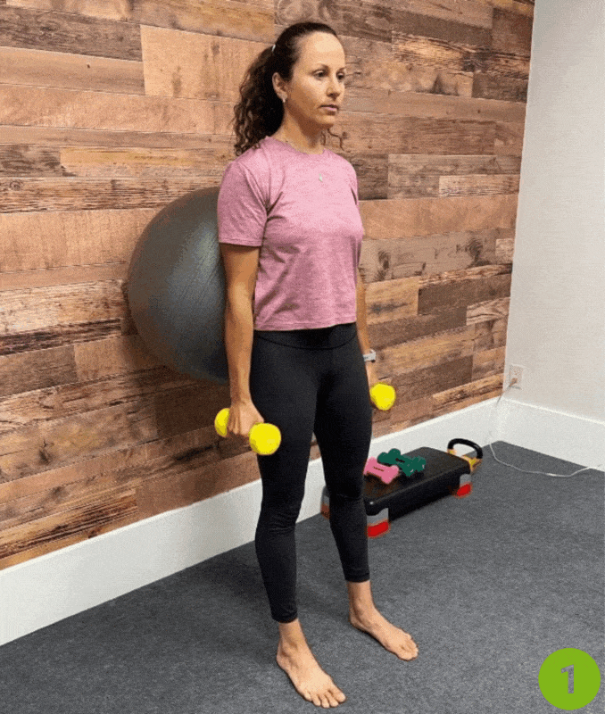 Stability Ball Wall Squats