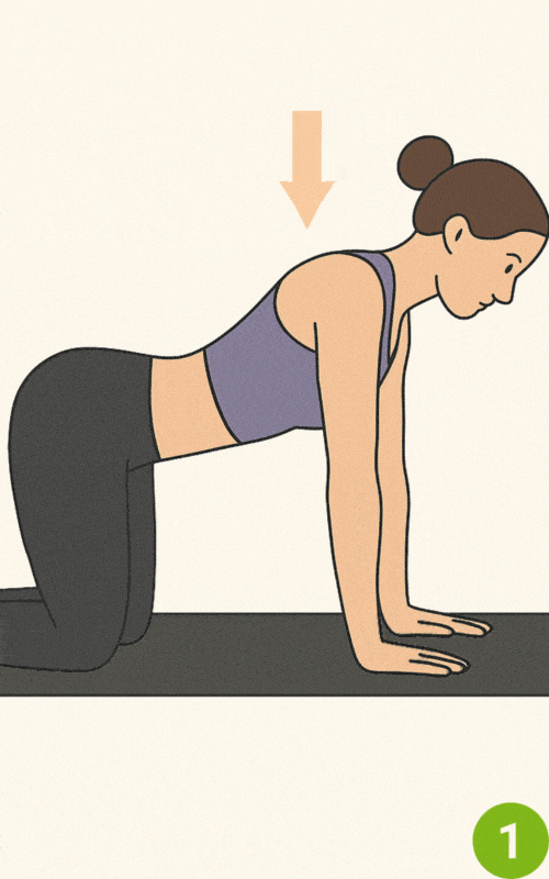 Scapular Push-Ups