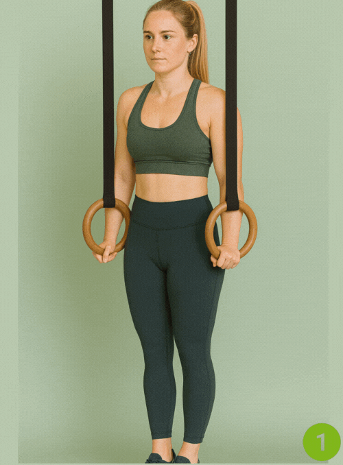 Ring Dips - Gymnastic Rings Exercises