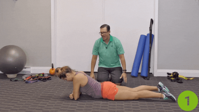  3-Way Plank Movement- back strengthening exercises